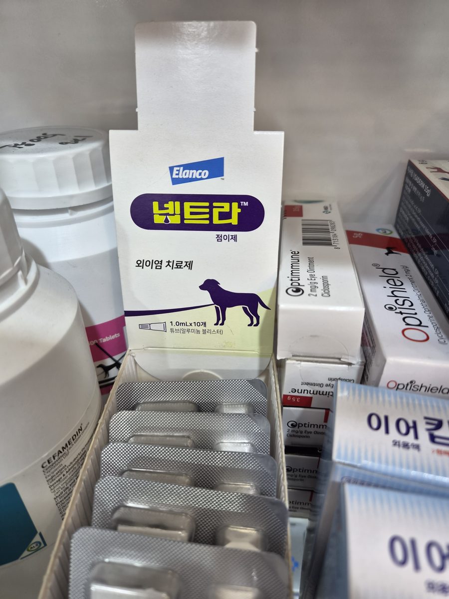 넵트라 (Neptra) 점이제 제품 사진 (동시약국 촬영)