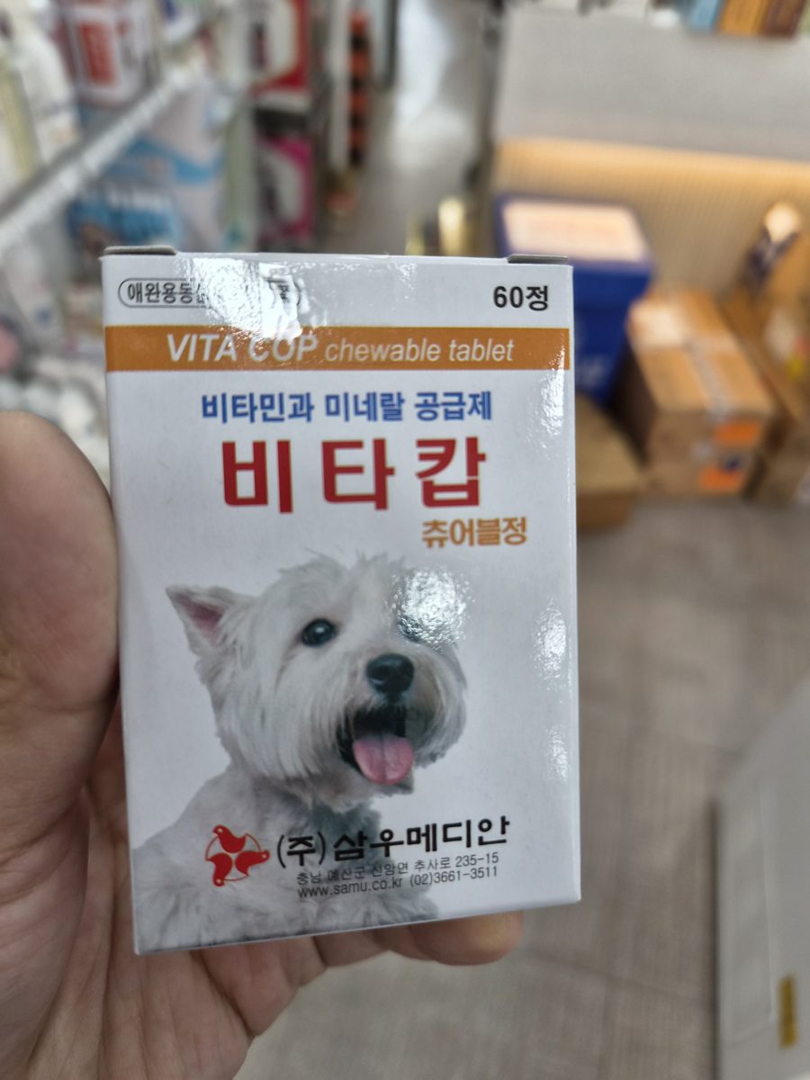 비타캅 츄어블 (비타민·무기질) 제품 사진 (동시약국 촬영)