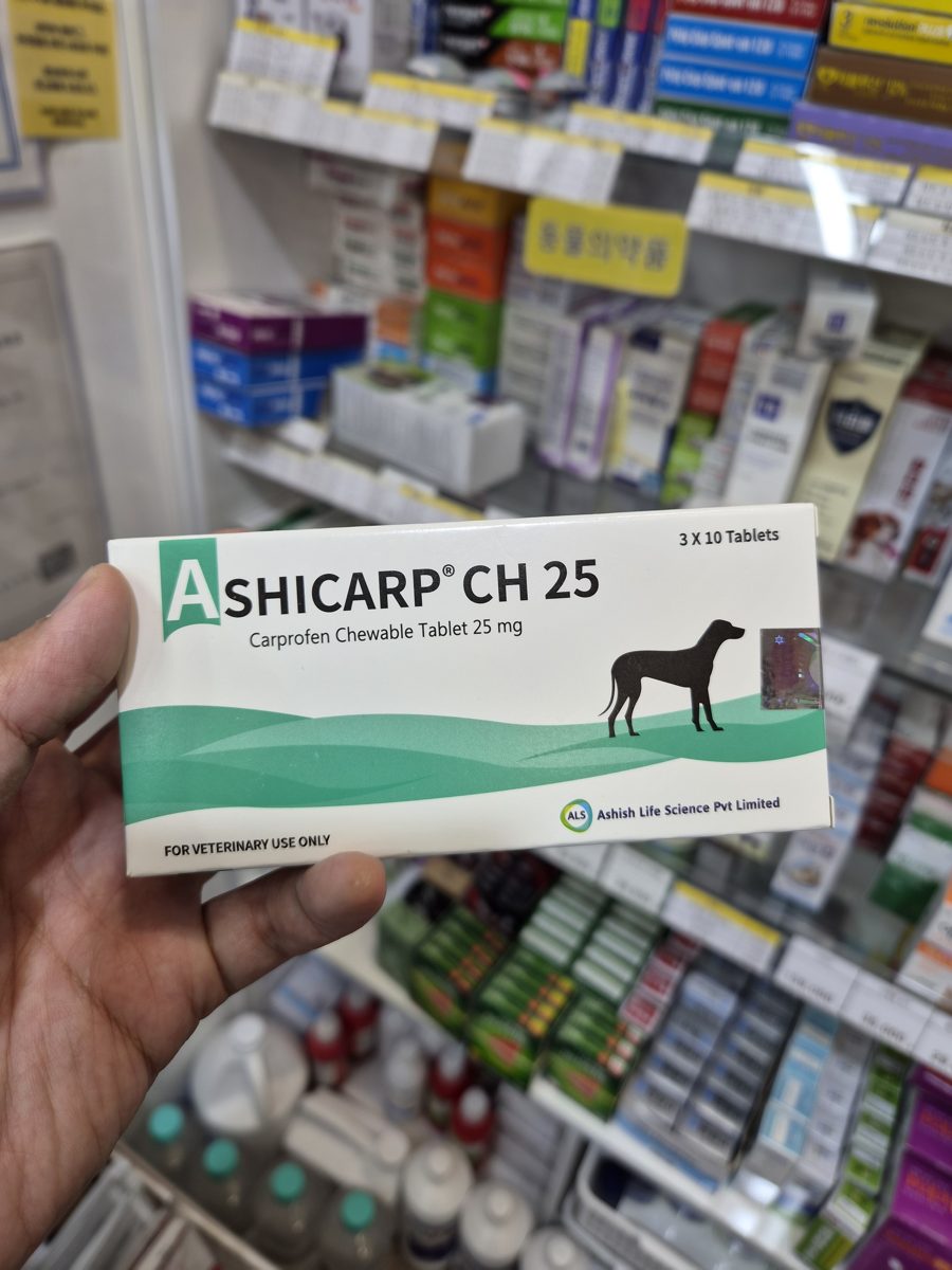 아시카프 츄어블정25 (Ashicarp) 제품 사진 (동시약국 촬영)